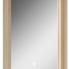 Шкаф-зеркало Nice 45 с подсветкой Домино (DN4704HZ) в Режи - rezh.mebel24.online | фото