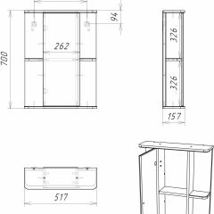 Шкаф-зеркало Норма 2-50 левый АЙСБЕРГ (DA1607HZ) в Режи - rezh.mebel24.online | фото 10