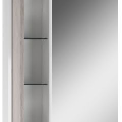 Шкаф-зеркало Uno 60 Дуб серый левый/правый Домино (DU1503HZ) в Режи - rezh.mebel24.online | фото 3