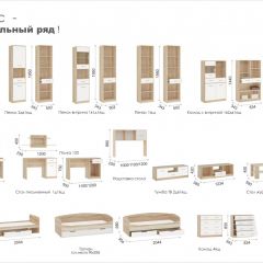 Система Стелс Шкаф-Пенал 1в1д1ящ Дуб сонома/Белый в Режи - rezh.mebel24.online | фото 3