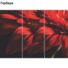 Стол Бостон-3 (1100/1420*700) опоры Брифинг в Режи - rezh.mebel24.online | фото 5