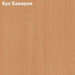 Тумба выкатная на 3 ящика Логика Л-12.1.2 с замком на 3 ящика в Режи - rezh.mebel24.online | фото 2