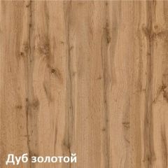 Вуди Шкаф для одежды 13.138 в Режи - rezh.mebel24.online | фото 4