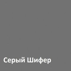 Юнона Шкаф торцевой 13.221 в Режи - rezh.mebel24.online | фото 2