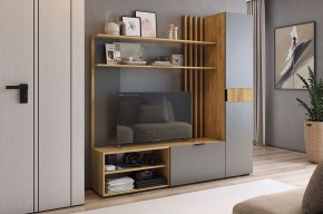 БЕРИ К1 Гостиная в Режи - rezh.mebel24.online | фото 2