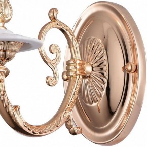 Бра Arte Lamp 8020 A8020AP-1WG в Режи - rezh.mebel24.online | фото 4