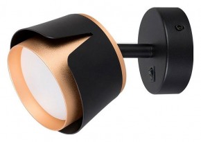Бра Arte Lamp Amaks A8028AP-1BK в Режи - rezh.mebel24.online | фото