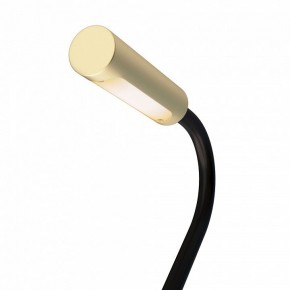 Бра Maytoni Stem C035WL-L3MG3K в Режи - rezh.mebel24.online | фото 6
