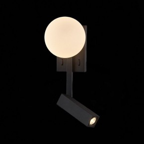 Бра с подсветкой ST-Luce Botelli SL1581.401.02 в Режи - rezh.mebel24.online | фото