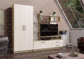 ДАРЬЯ Гостиная (Крафт серый/Крафт белый) в Режи - rezh.mebel24.online | фото
