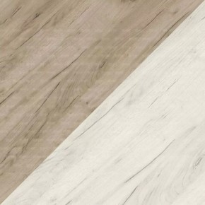 ДАРЬЯ Шкаф (Крафт серый/Крафт белый) гостиная в Режи - rezh.mebel24.online | фото 7