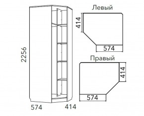 Детская Фанк Шкаф угловой Левый/Правый НМ 013.04-02 М в Режи - rezh.mebel24.online | фото 3