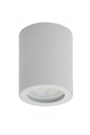 DK3007-WH Накладной светильник влагозащ., IP 44, 15 Вт, GU10, белый, алюминий в Режи - rezh.mebel24.online | фото 1