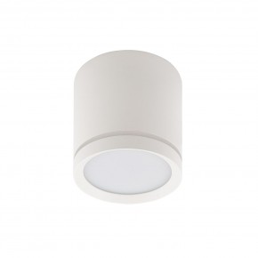 DK4013-WH Светильник накладной IP 20, 5 Вт, LED 4000, белый, алюминий/акрил в Режи - rezh.mebel24.online | фото 2