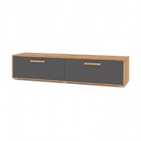 ФЛОРИДА Ф31 Тумба ТВ (дуб золотой/графит) в Режи - rezh.mebel24.online | фото