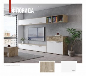 ФЛОРИДА Гостиная (модульная) дуб серый/белый в Режи - rezh.mebel24.online | фото