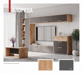 ФЛОРИДА Гостиная (модульная) дуб золотой/графит в Режи - rezh.mebel24.online | фото