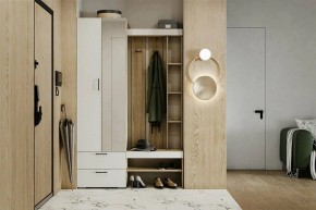 Гарнитур для прихожей Торонто в Режи - rezh.mebel24.online | фото 5