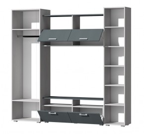 Гостиная Эмми (Анкор светлый/Графит) в Режи - rezh.mebel24.online | фото 3