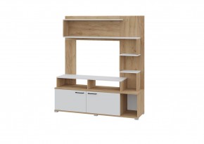 Гостиная Ника (Крафт золотой-белый) в Режи - rezh.mebel24.online | фото