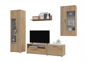 Гостиная Омега (Крафт золотой-Бетон) в Режи - rezh.mebel24.online | фото 2