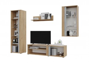 Гостиная Омега (Крафт золотой-Бетон) в Режи - rezh.mebel24.online | фото 3