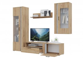 Гостиная Омега (Крафт золотой-Бетон) в Режи - rezh.mebel24.online | фото 4