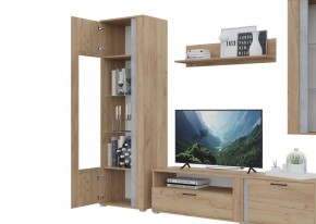 Гостиная Омега (Крафт золотой-Бетон) в Режи - rezh.mebel24.online | фото 5