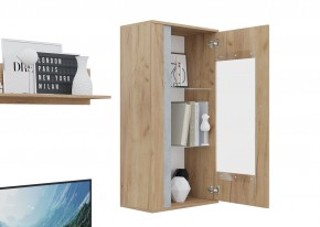 Гостиная Омега (Крафт золотой-Бетон) в Режи - rezh.mebel24.online | фото 6