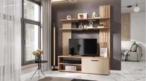 КАРОЛИНА Гостиная (дуб вотан/кашемир) в Режи - rezh.mebel24.online | фото
