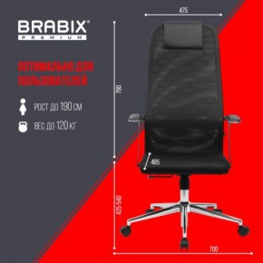 Кресло BRABIX PREMIUM "Ultimate EX-801" хром, плотная двойная сетка Х2, черное, 532917 в Режи - rezh.mebel24.online | фото 7