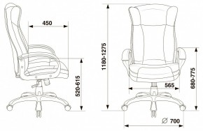 Кресло для руководителя Бюрократ CH-879N в Режи - rezh.mebel24.online | фото