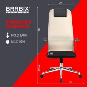 Кресло офисное BRABIX PREMIUM "Ultimate EX-801" хром, плотная двойная сетка Х2, черное/бежевое, 532919 в Режи - rezh.mebel24.online | фото 6