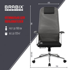 Кресло офисное BRABIX PREMIUM "Ultimate EX-801" хром, плотная двойная сетка Х2, черное/серое, 532918 в Режи - rezh.mebel24.online | фото 5