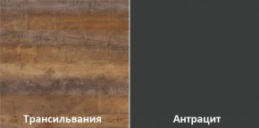 Кухонный гарнитур угловой Трансильвания 2600х1600 мм (Стол. 38 мм) в Режи - rezh.mebel24.online | фото 3