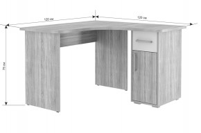 ЛАЙТ К1 Компьютерный стол в Режи - rezh.mebel24.online | фото 4