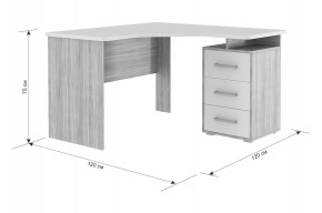 ЛАЙТ К4 Компьютерный стол в Режи - rezh.mebel24.online | фото 6
