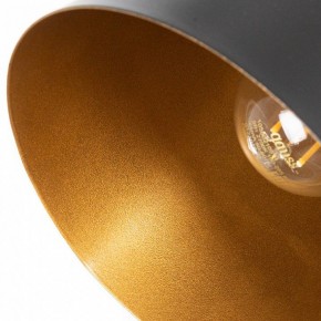 Люстра на штанге Arte Lamp Thomas A7032PL-6BK в Режи - rezh.mebel24.online | фото 7