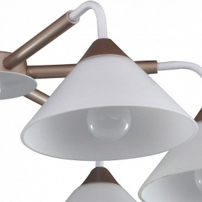 Люстра на штанге Arti Lampadari Ribera Ribera E 1.1.6 CW в Режи - rezh.mebel24.online | фото 3