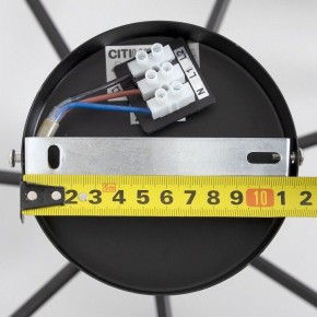 Люстра на штанге Citilux Стивен CL141271 в Режи - rezh.mebel24.online | фото 13