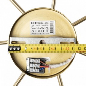 Люстра на штанге Citilux Tonga CL212173 в Режи - rezh.mebel24.online | фото 9