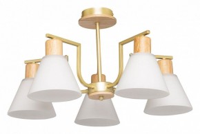 Люстра на штанге De City Дэла 45 635016505 в Режи - rezh.mebel24.online | фото