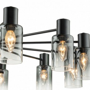 Люстра на штанге Escada Diversity 2120/12P Black в Режи - rezh.mebel24.online | фото 6