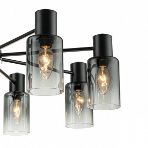 Люстра на штанге Escada Diversity 2120/8P Black в Режи - rezh.mebel24.online | фото 5