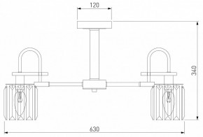 Люстра на штанге Eurosvet Tenia 70090/5 графит в Режи - rezh.mebel24.online | фото 4