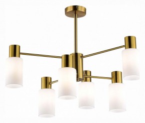 Люстра на штанге EVOLUCE Gessi SLE1139-302-06 в Режи - rezh.mebel24.online | фото 2
