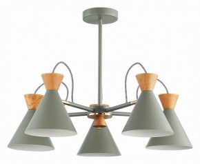Люстра на штанге EVOLUCE Modica SLE125112-05 в Режи - rezh.mebel24.online | фото 1