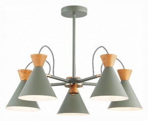 Люстра на штанге EVOLUCE Modica SLE125112-05 в Режи - rezh.mebel24.online | фото 2