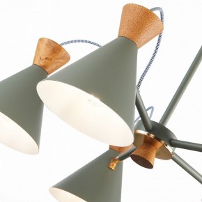 Люстра на штанге EVOLUCE Modica SLE125112-05 в Режи - rezh.mebel24.online | фото 3