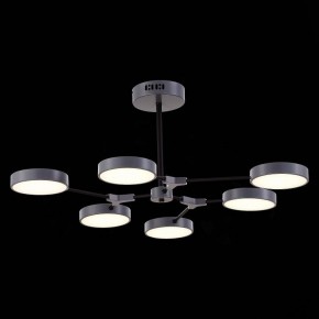 Люстра на штанге EVOLUCE Monta SLE6003-702-06 в Режи - rezh.mebel24.online | фото 5